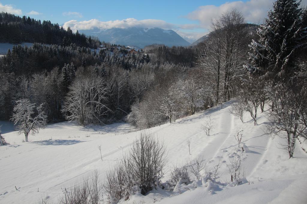 Chalet Eterlou Mégevette Εξωτερικό φωτογραφία