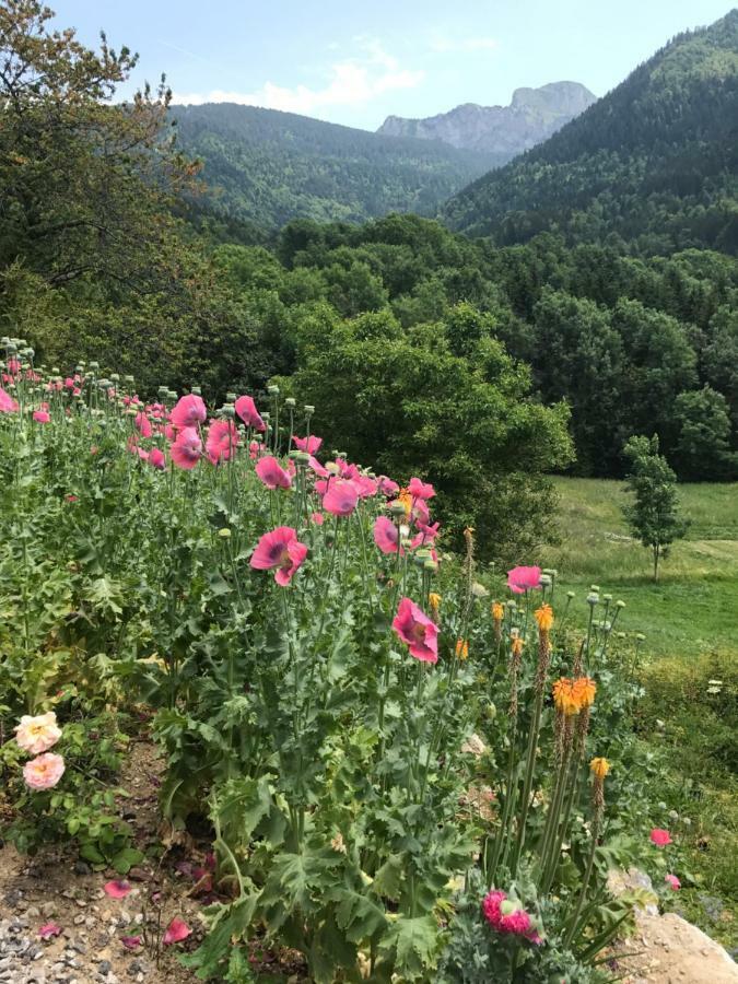 Chalet Eterlou Mégevette Εξωτερικό φωτογραφία