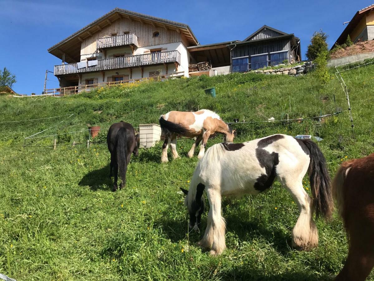 Chalet Eterlou Mégevette Εξωτερικό φωτογραφία