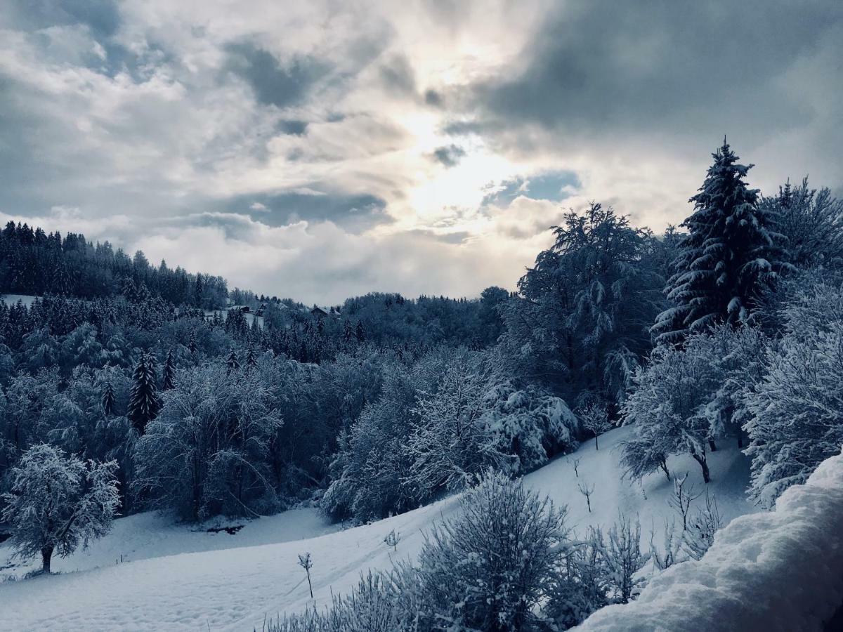 Chalet Eterlou Mégevette Εξωτερικό φωτογραφία