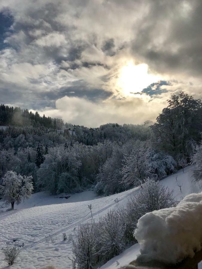 Chalet Eterlou Mégevette Εξωτερικό φωτογραφία